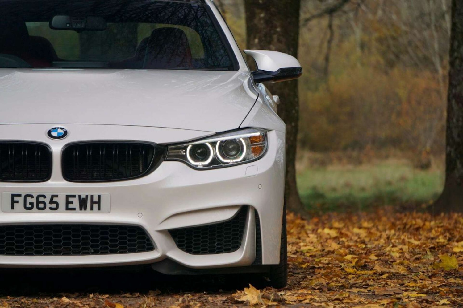 Used BMW M4 2015 for sale - 76720213: Photo 93