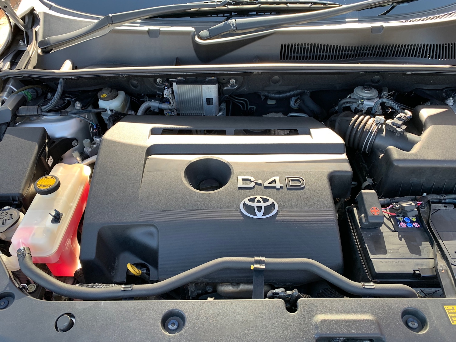 Used Toyota RAV4 2009 for sale - 76057817: Photo 12