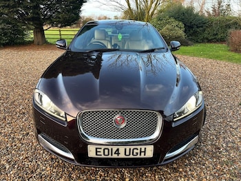 Used Jaguar XF 2014 for sale - 77012321: Photo