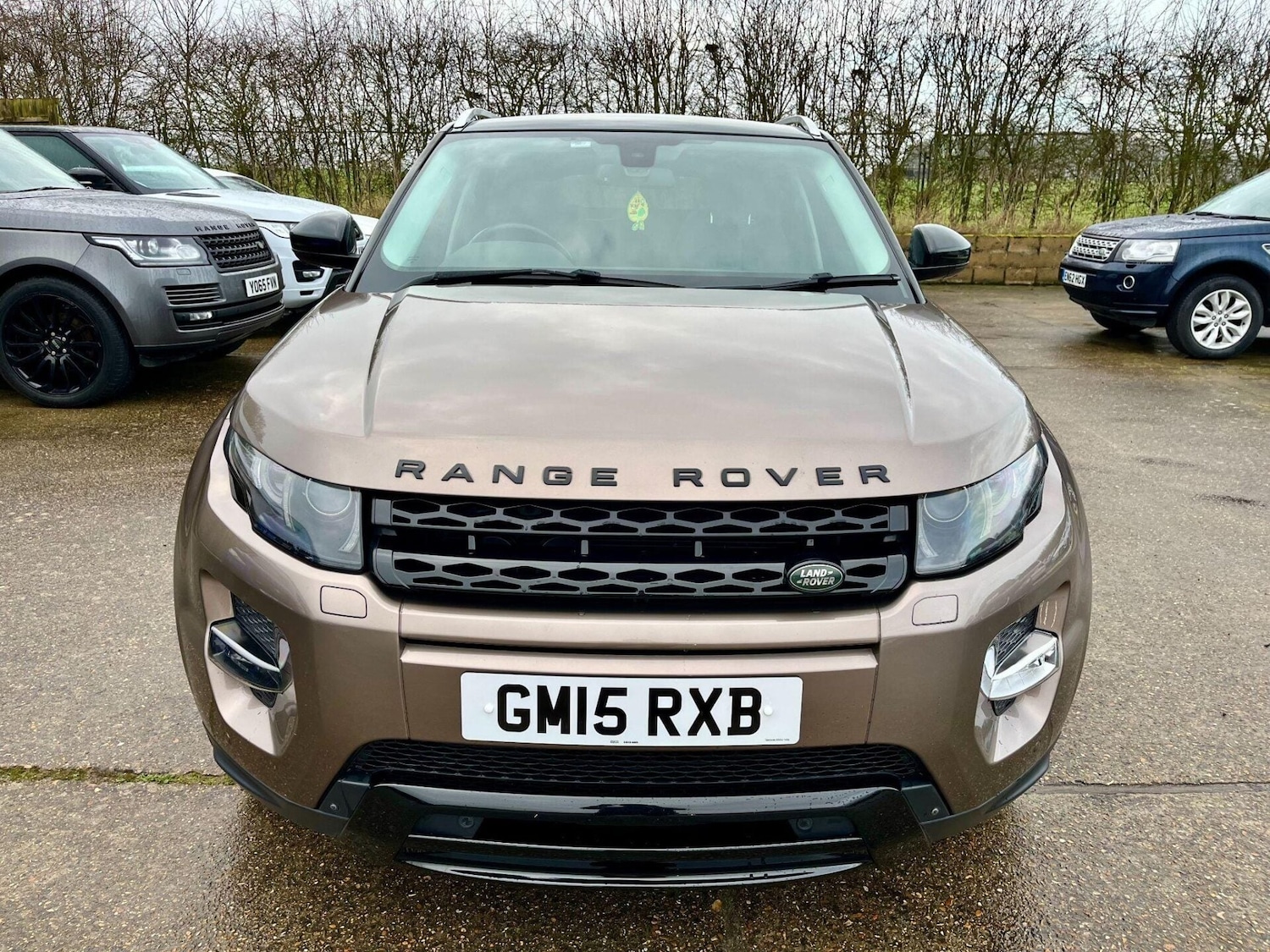 Used Land Rover Range Rover Evoque 2015 for sale - 77394057: Photo 3