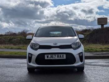 Used Kia Picanto 2017 for sale - 74631735: Photo