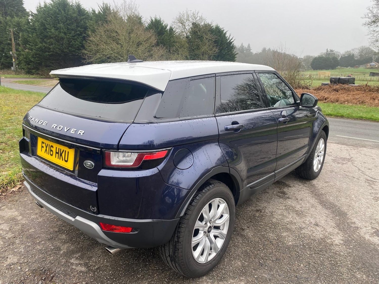 Used Land Rover Range Rover Evoque 2016 for sale - 77791697: Photo 7