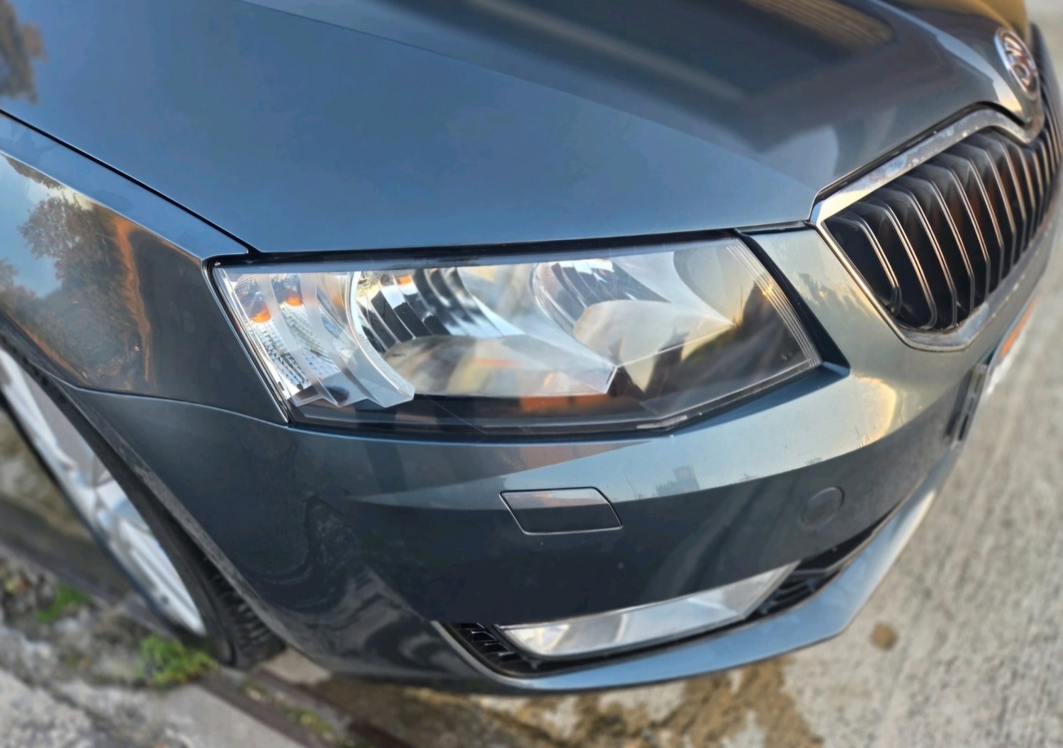 Used Skoda Octavia 2014 for sale - 77052380: Photo 16