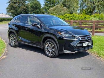 Used Lexus NX 2015 for sale - 79182217: Photo