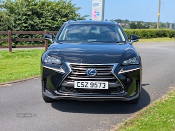 Used Lexus NX 2015 for sale - 79182217: Photo