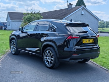Used Lexus NX 2015 for sale - 79182217: Photo