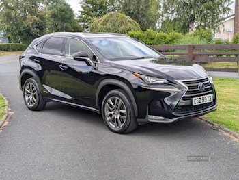 Used Lexus NX 2015 for sale - 79521873: Photo