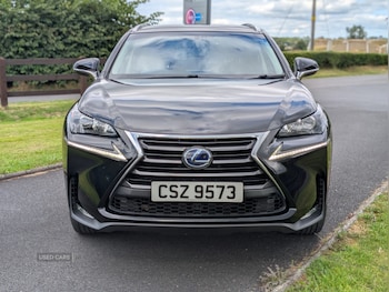 Used Lexus NX 2015 for sale - 79521873: Photo