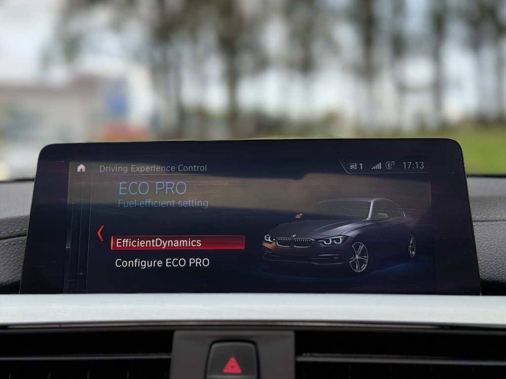 Used BMW 3 Series 2017 for sale - 76105728: Photo 32