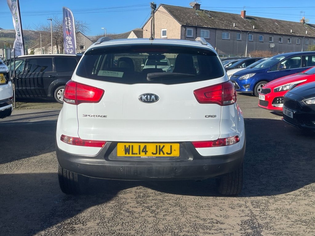 Used Kia Sportage 2014 for sale - 77976252: Photo 5