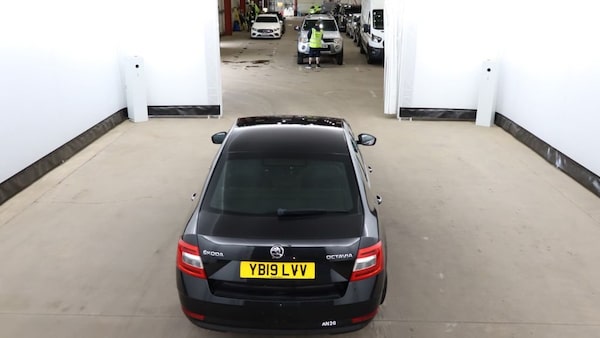 Used Skoda Octavia 2019 for sale - 75201226: Photo 8