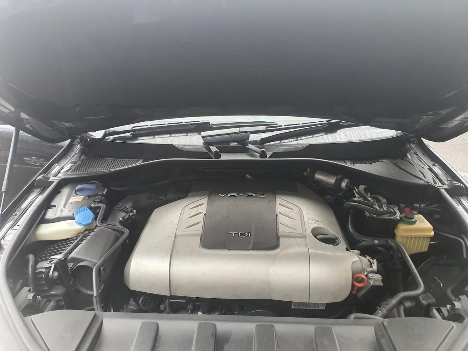 Used Audi Q7 2009 for sale - 77662313: Photo 14