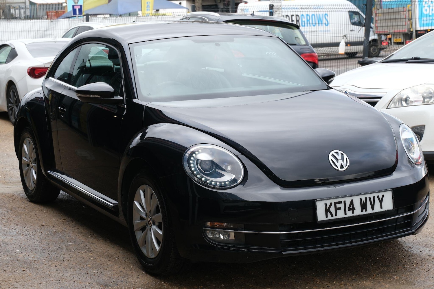Used Volkswagen Beetle for sale - 77574191: Photo 5