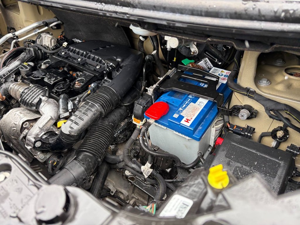 Used Peugeot Expert 2019 for sale - 77927254: Photo 33