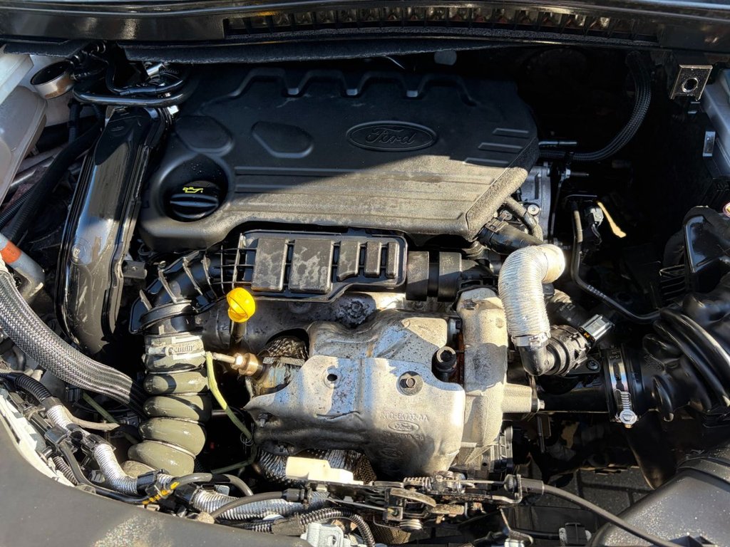 Used Ford Transit Connect 2020 for sale - 78036360: Photo 29