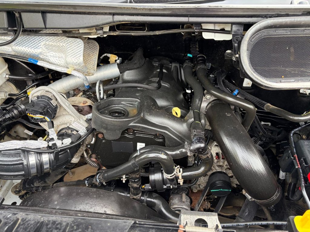 Used Ford Transit 2022 for sale - 78186825: Photo 29