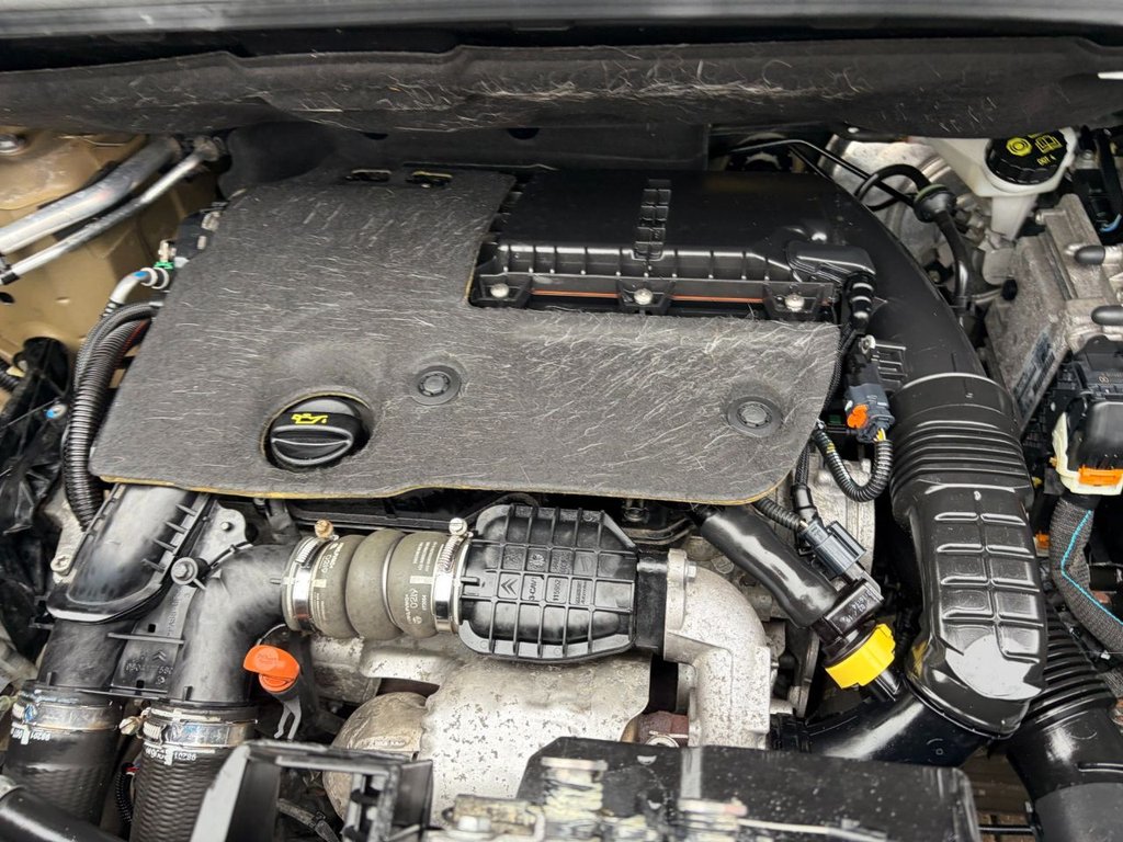 Used Peugeot Partner 2019 for sale - 76266478: Photo 29