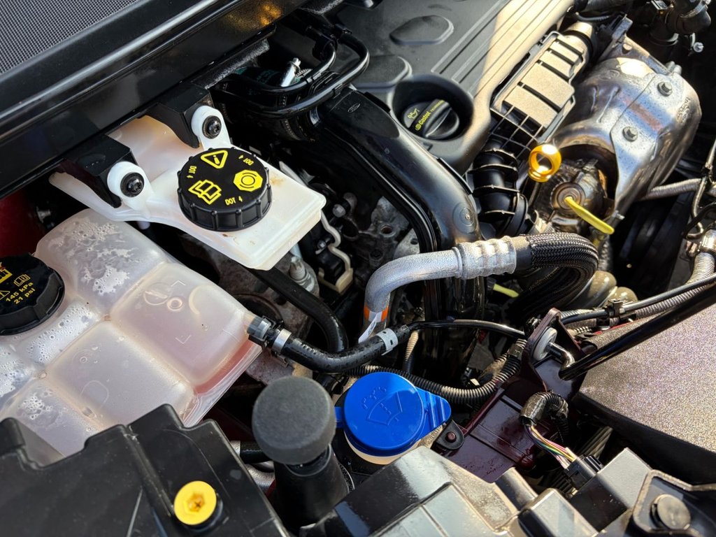 Used Ford Transit Connect 2020 for sale - 77879681: Photo 30