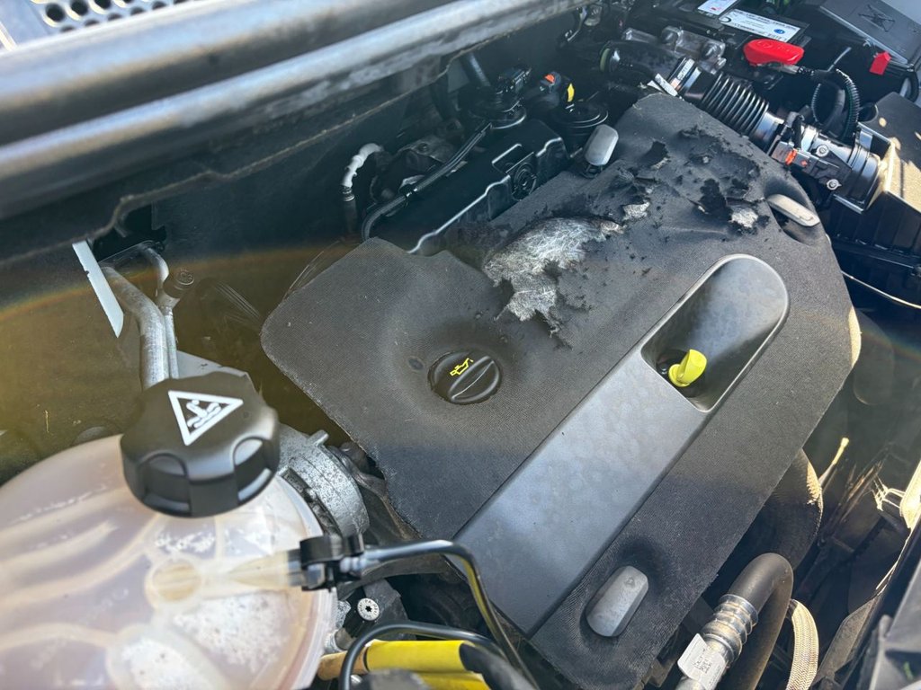 Used Peugeot Expert 2022 for sale - 77927153: Photo 31