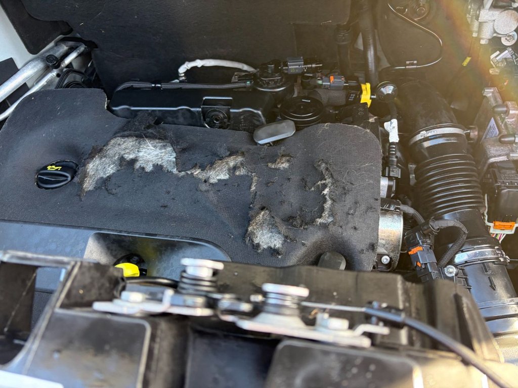 Used Peugeot Expert 2022 for sale - 77927153: Photo 32