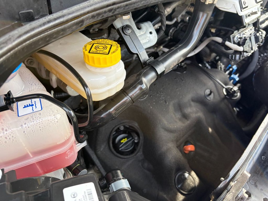 Used Peugeot Boxer 2024 for sale - 76266753: Photo 25