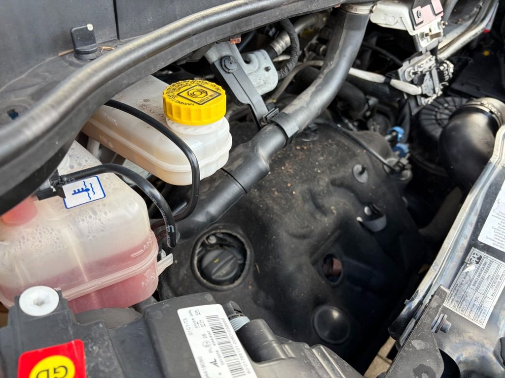 Used Citroen Relay 2021 for sale - 77512113: Photo 24