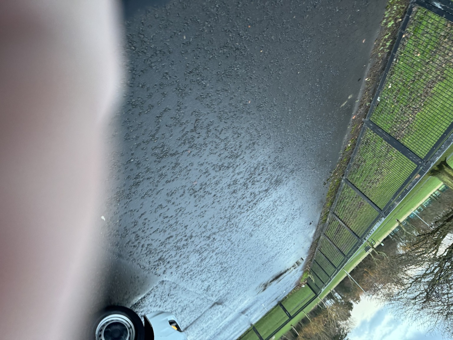 Used Ford Transit Custom 2021 for sale - 77735667: Photo 12