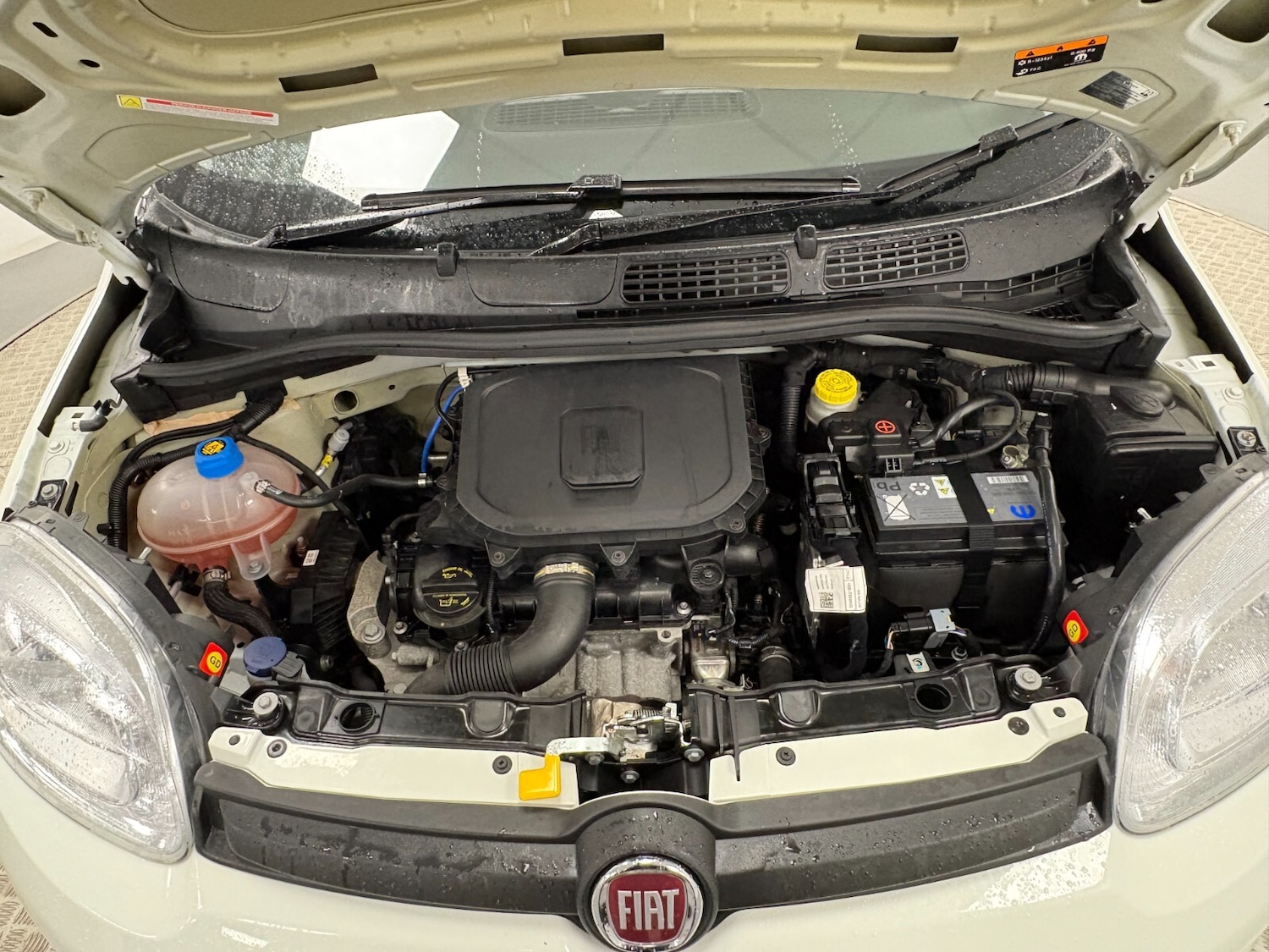 Used Fiat Panda 2022 for sale - 76881834: Photo 17