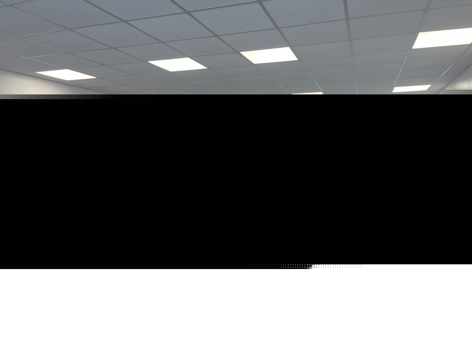 Used Citroen C4 2024 for sale - 76276407: Photo 7