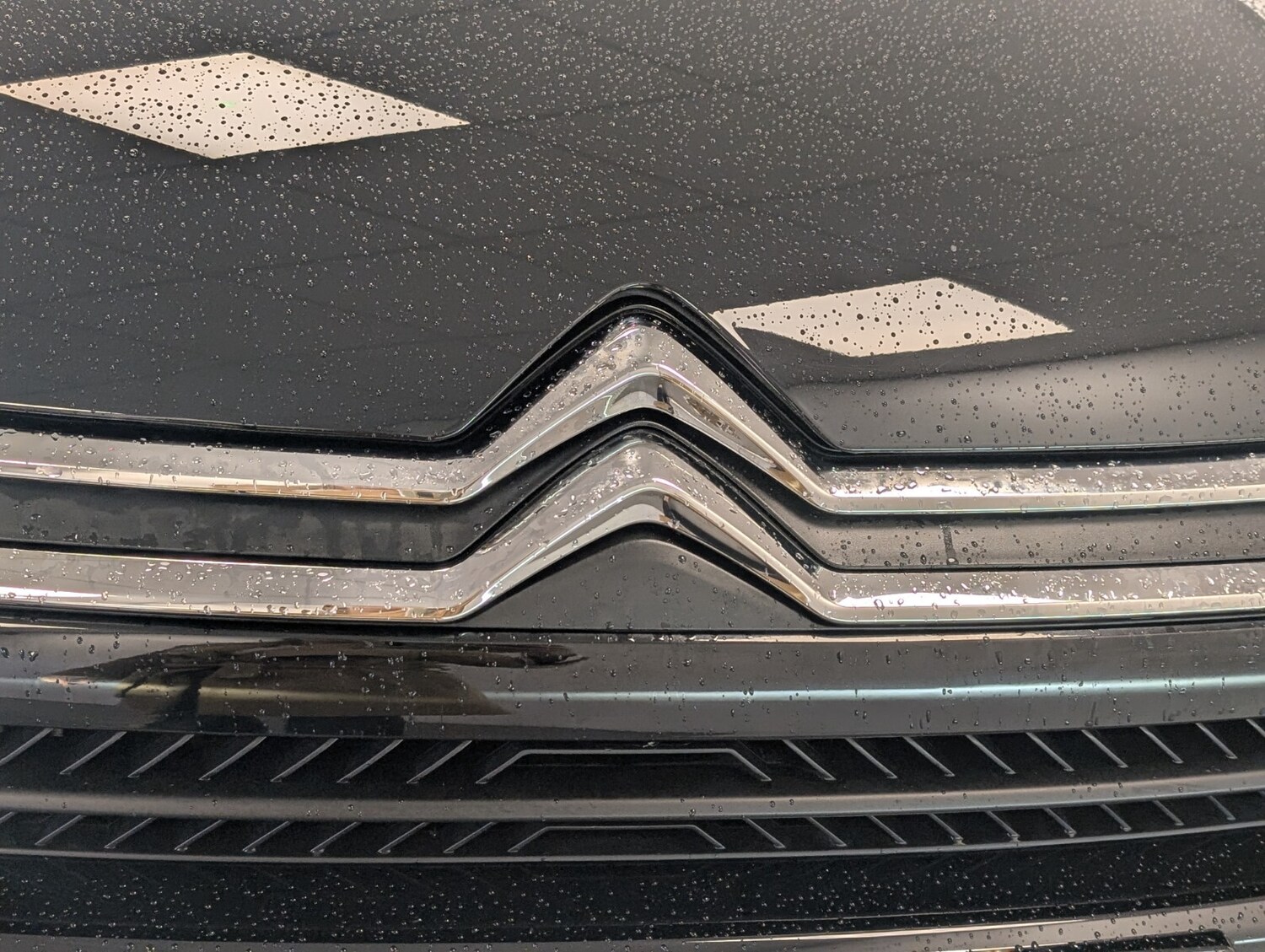 Used Citroen C4 2024 for sale - 76276831: Photo 17