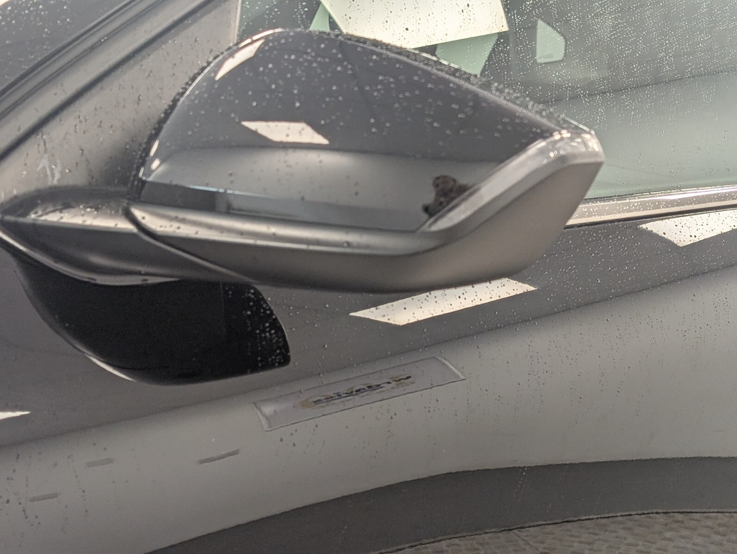 Used Citroen C4 2024 for sale - 76276831: Photo 19