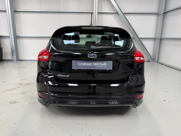 Used Ford Focus 2017 for sale - 75381776: Photo 46
