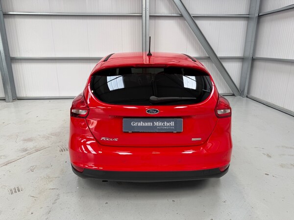 Used Ford Focus 2017 for sale - 75684681: Photo 44