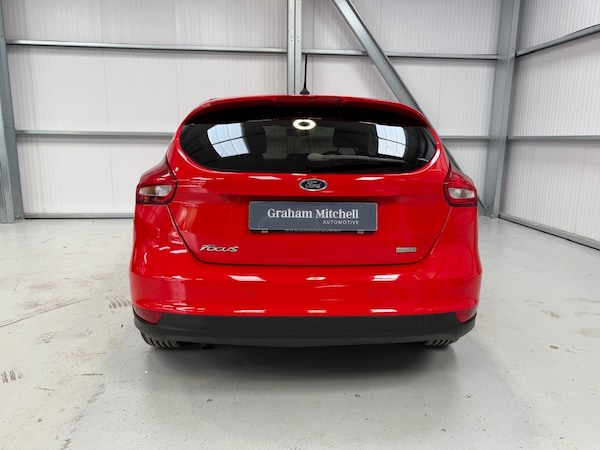 Used Ford Focus 2017 for sale - 75684681: Photo 45