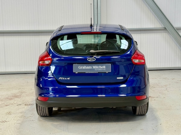 Used Ford Focus 2015 for sale - 76320469: Photo 6