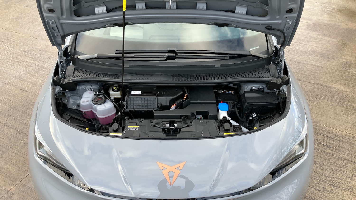 Used Cupra Born 2025 for sale - 77746579: Photo 8