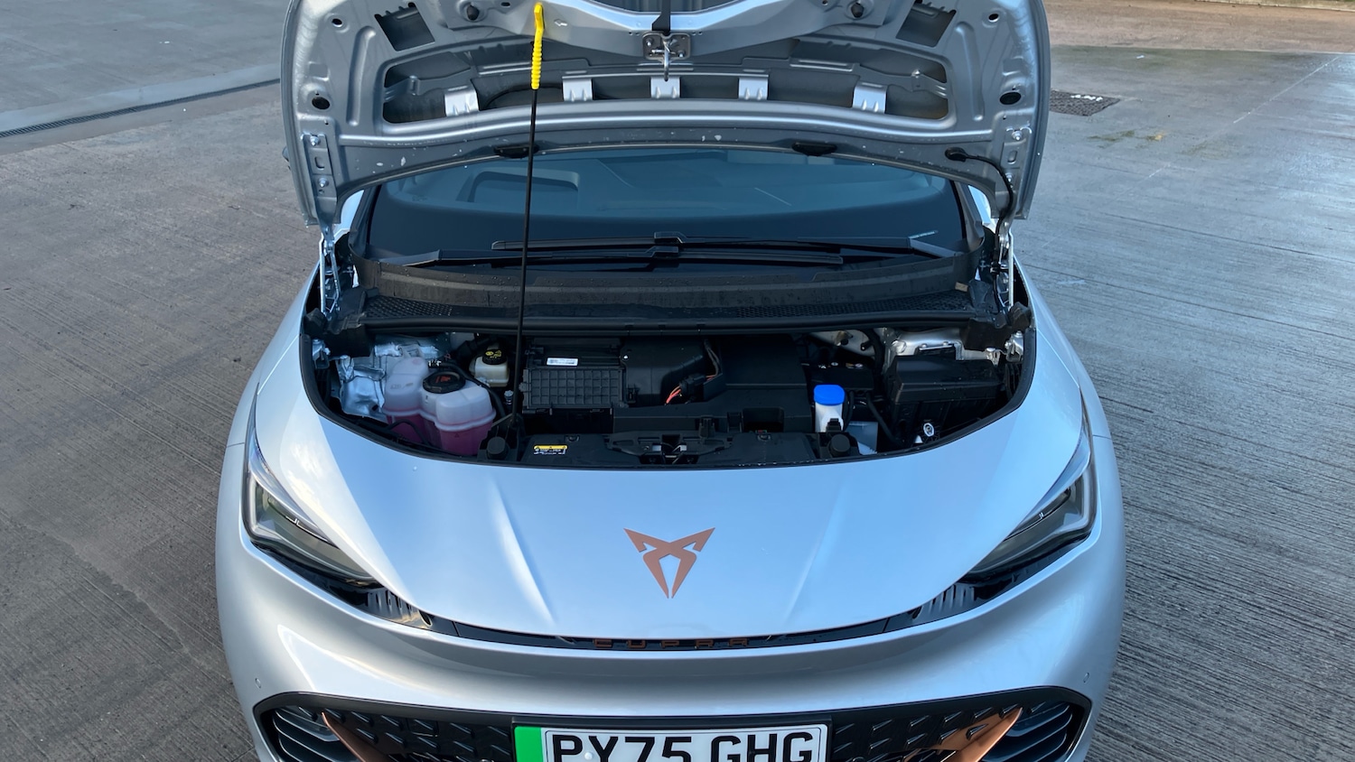 Used Cupra Born 2025 for sale - 77746577: Photo 8