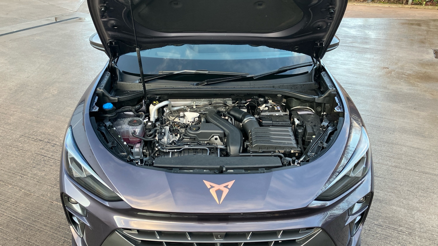 Used Cupra Terramar 2025 for sale - 77761732: Photo 8