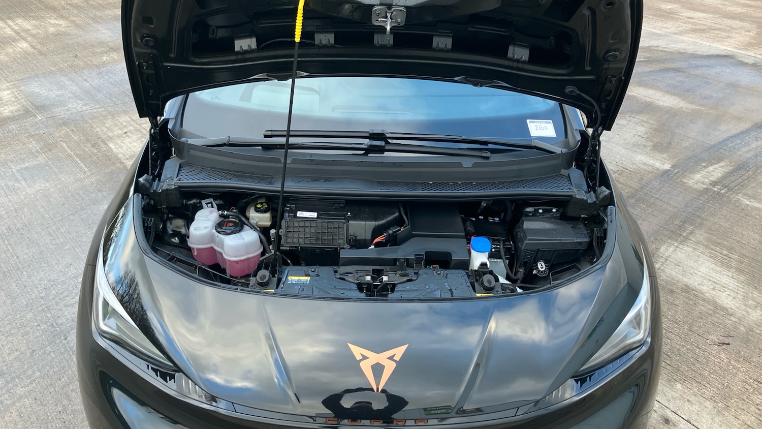 Used Cupra Born 2025 for sale - 77405637: Photo 8