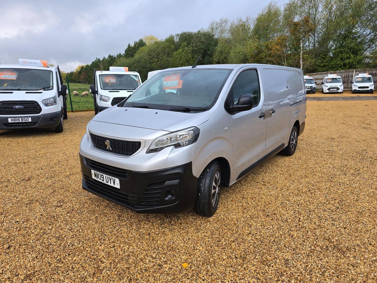 Used Peugeot Expert 2019 for sale - 76326470: Photo 3
