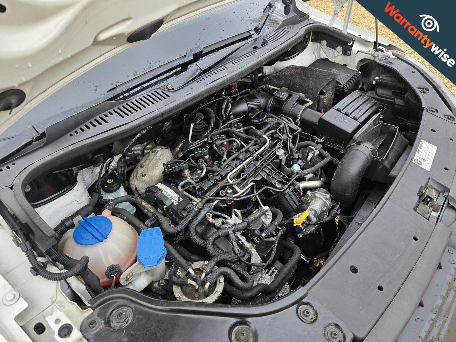 Used Volkswagen Caddy 2015 for sale - 77381175: Photo 41