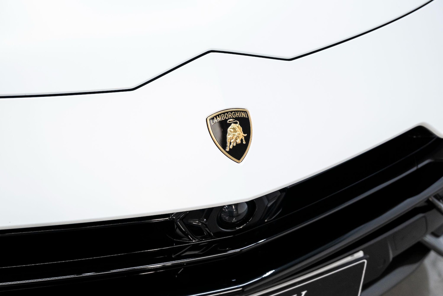 Used Lamborghini Urus 2023 for sale - 77538137: Photo 60