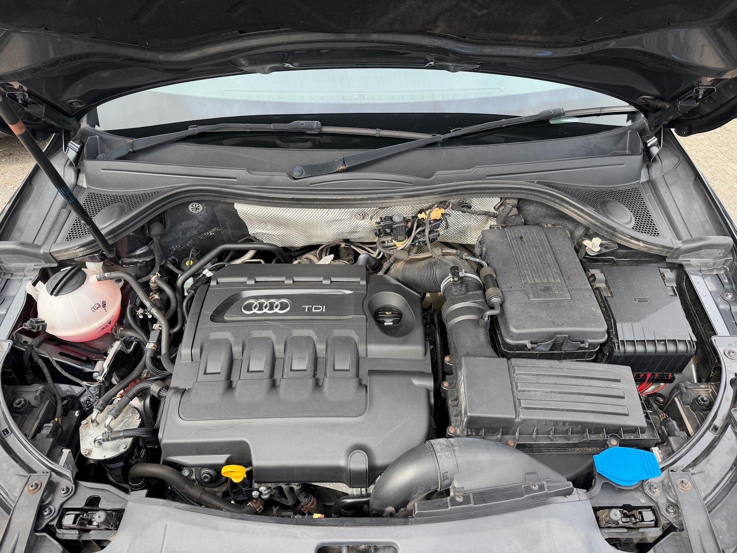 Used Audi Q3 2015 for sale - 78184406: Photo 28