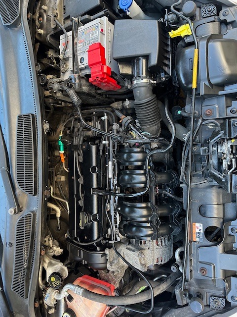 Used Ford Fiesta 2016 for sale - 76817488: Photo 14