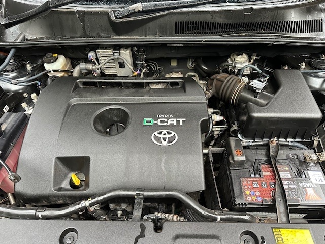 Used Toyota RAV4 2009 for sale - 76578280: Photo 13