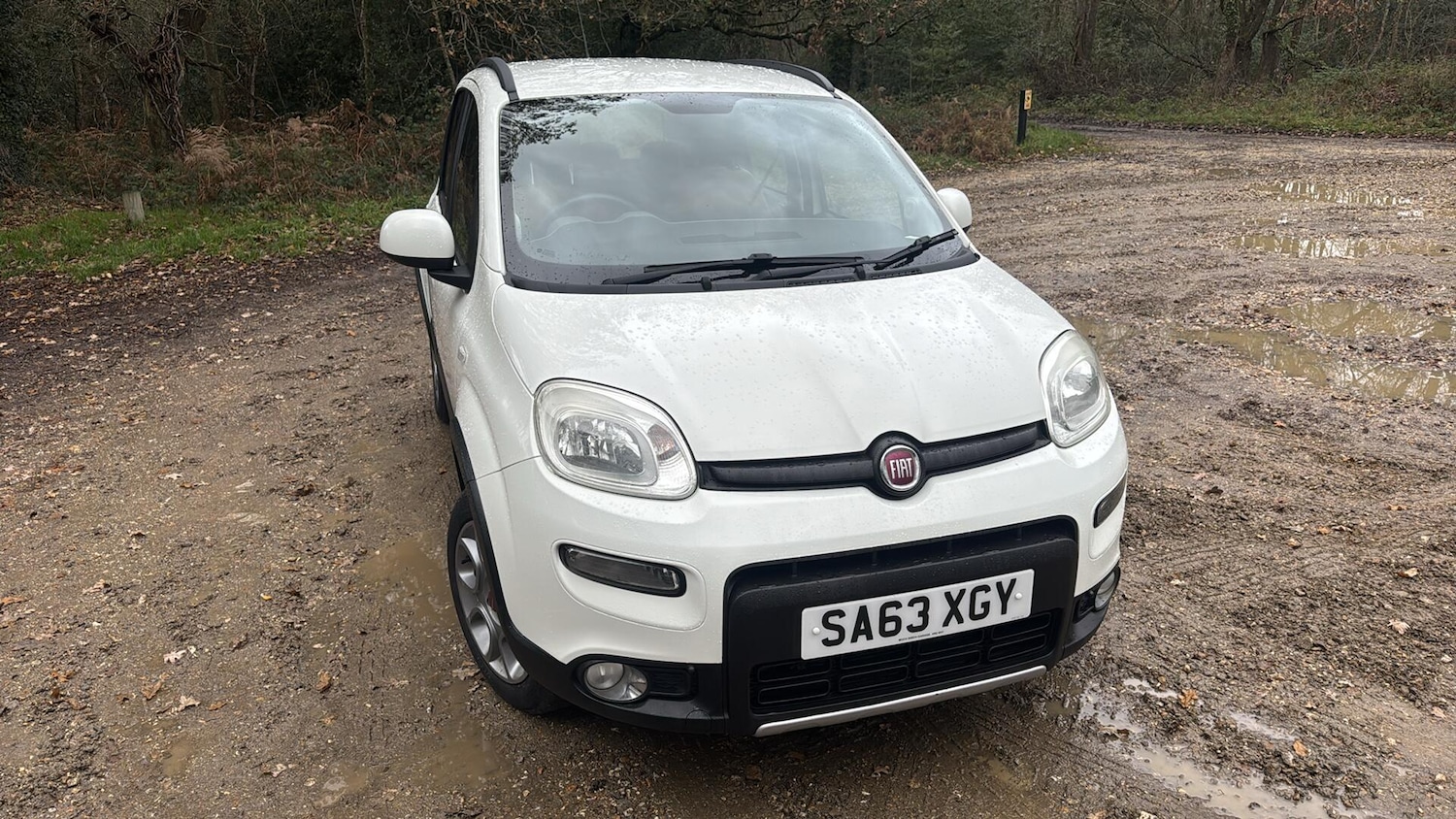 Used Fiat Panda 2013 for sale - 78184616: Photo 3