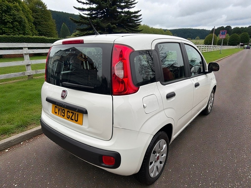Used Fiat Panda 2019 for sale - 77282329: Photo 3