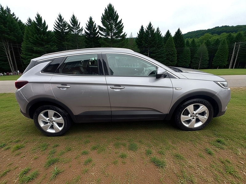 Used Vauxhall Grandland X 2019 for sale - 76940396: Photo 12