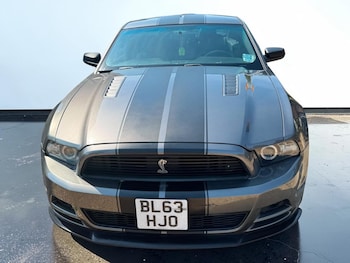 Used Ford Mustang 2013 for sale - 79533127: Photo