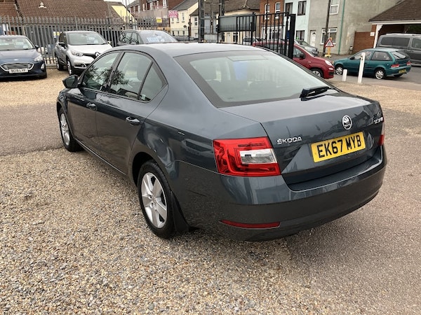 Used Skoda Octavia 2017 for sale - 76237182: Photo 3